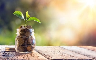 Surviving Personal Bankruptcy
