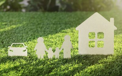 What Kind of Asset Protection Can Bankruptcy Offer?